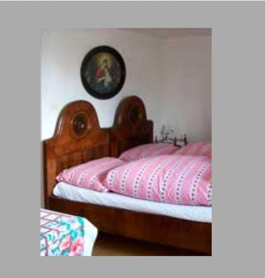 Appartamento Dum U Giordanu Slavonice Esterno foto